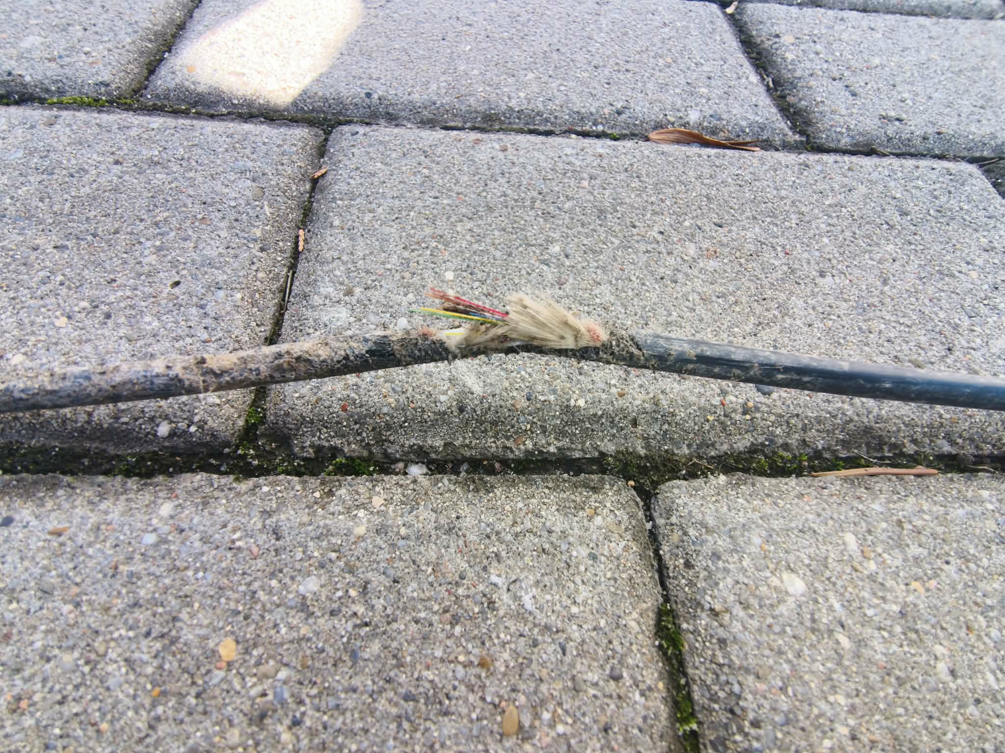 Dlaczego internet nie działa? Przyczyny awarii i pierwsze kroki
