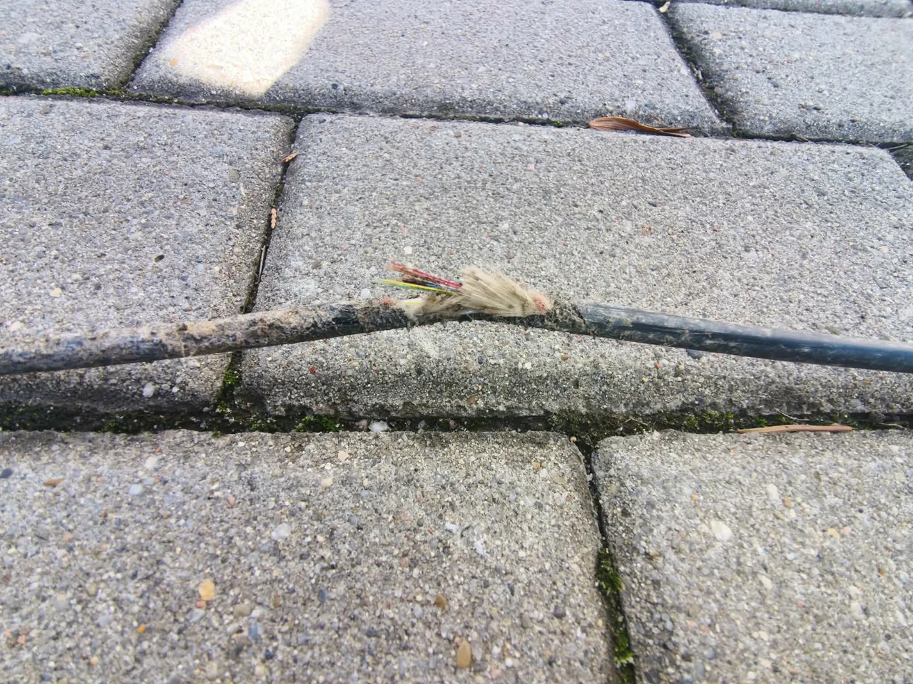 Dlaczego internet nie działa? Przyczyny awarii i pierwsze kroki