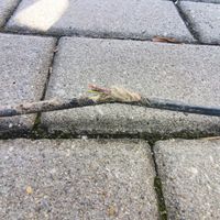 Dlaczego internet nie działa? Przyczyny awarii i pierwsze kroki